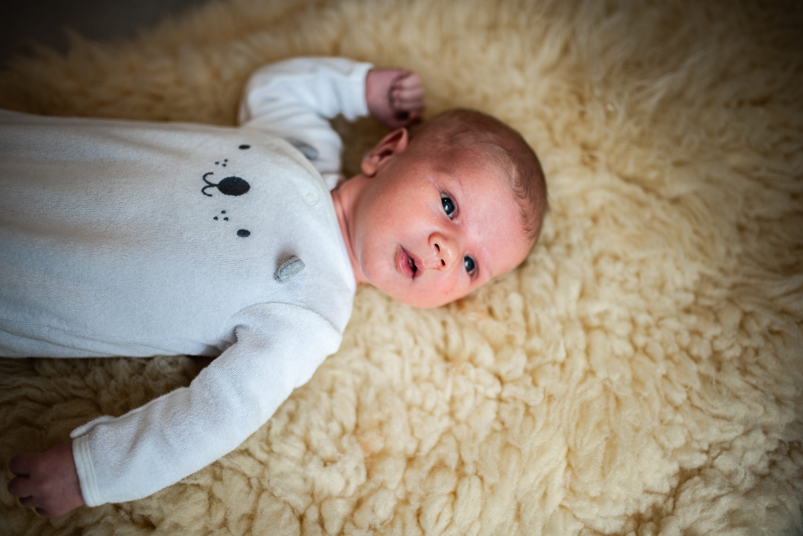 Brevard Newborn Lifestyle Photography